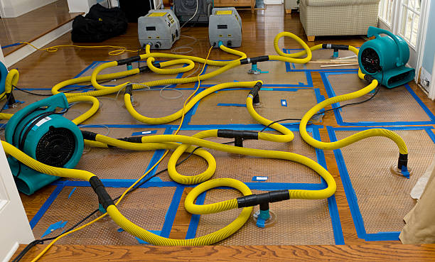 Professional Sewage Cleanup technician working in Normandy, MO
